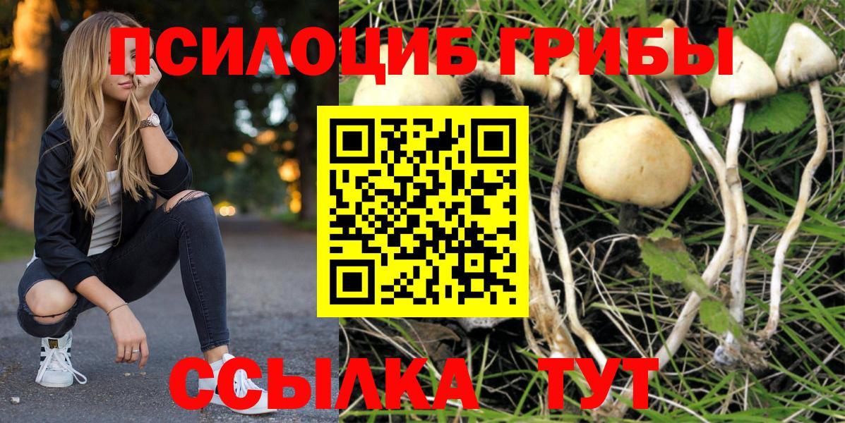 Псилоцибиновые грибы ЛСД Кузнецк