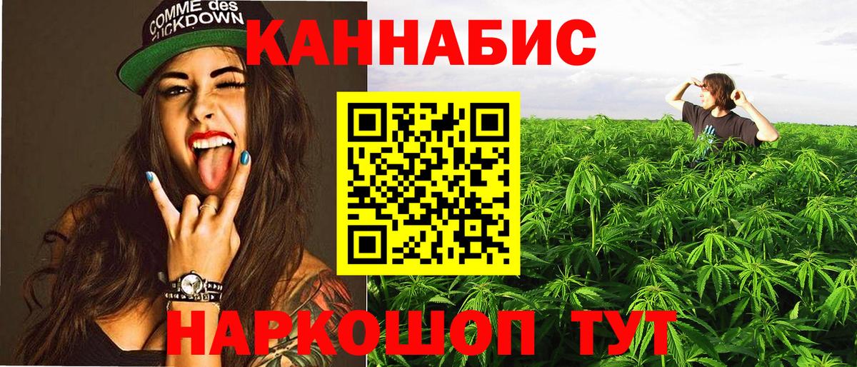 Бошки марихуана планчик Кузнецк